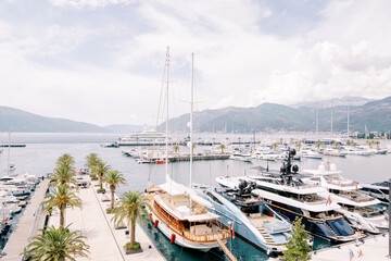 Fototapeta premium Luxury sailing and motor yachts line the palm-lined piers of the luxury marina