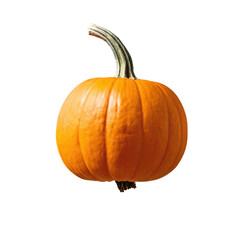 pumpkin isolated on transparent background