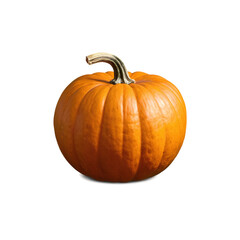 pumpkin isolated on transparent background