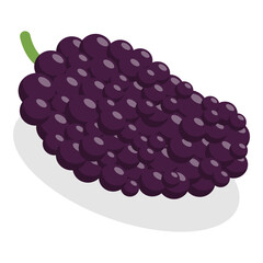 3D Isometric Flat Vector Set of Berries, Healthy Detox Natural Products. Item 4