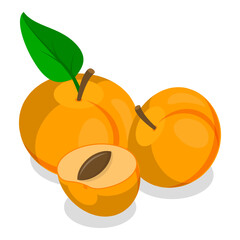 3D Isometric Flat Vector Set of Apricots and Elements, Farm Products. Item 1