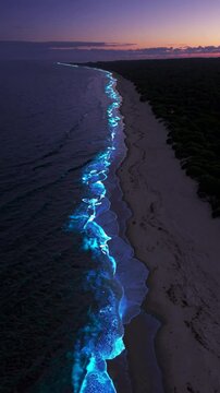 Aerial view of a beach at dusk with glowing bioluminescent waves. The video captures the serene and magical shoreline from above. Mobile wallpaper ratio.