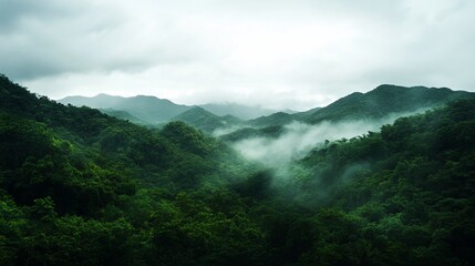 Obraz premium Misty green mountainscape, lush foliage, rolling hills, tranquil atmosphere.