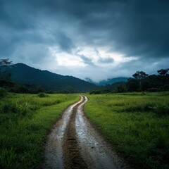 Fototapeta premium muddy track through green field on cloudy day