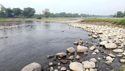 rocky river in the forest