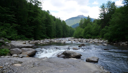 mountain river in the forest