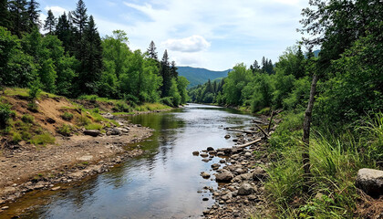 mountain river in the forest