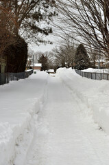 freshly plowed sidewalk with deep snow on all sides