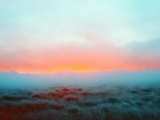 Fototapeta premium Foggy field at Sunrise.