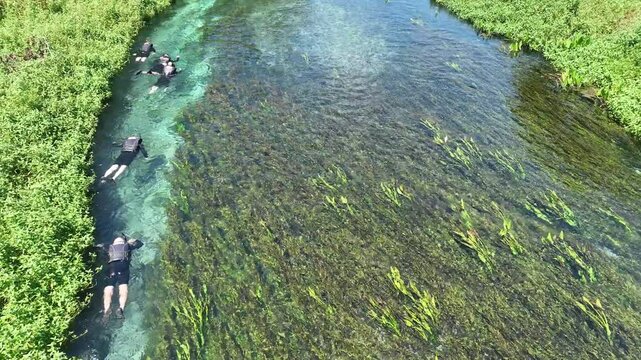 Rio Sucur&iacute;, Bonito, cristalino en la selva de Matto Grosso do Sul, Brasil