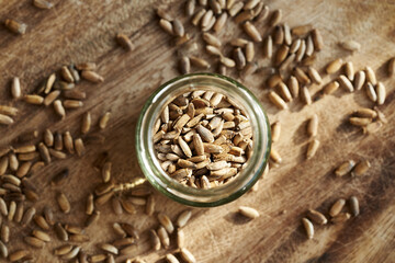 Milk thistle seeds in a glass jar