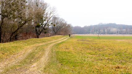 landscape. agricultural fields in winter