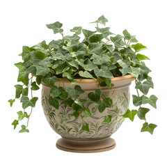 A Trailing Ivy Plant in a Decorative Pot Isolated on Transparent Background