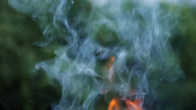 Close-up of flames and smoke from a newly ignited fire, with blurred greenery