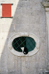 Black and white cat sits on a barred window of an ancient building with a red sign