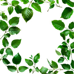 Lush green leaves frame black background natural foliage border