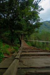 wooden bridge in the forest