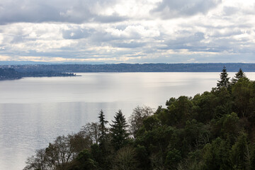 Landscape on Vashon Island, Forested Hills
