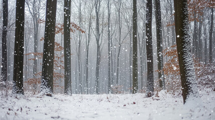 Fototapeta premium 初雪が降る静かな森 – 柔らかな雪が織りなす静寂の世界