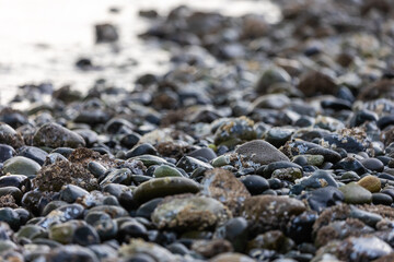 Vashon Island Rocky Beaches