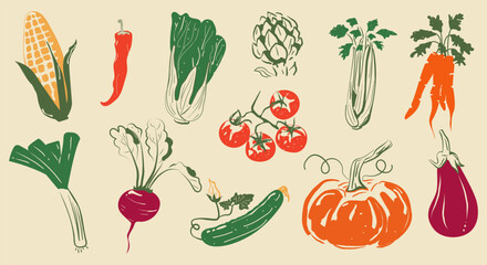 A set of various hand-drawn vegetables. Corn, chili pepper, Peking cabbage, artichoke, celery, carrot, eggplant, pumpkin, tomato, cucumber, beetroot, leek. Vector illustration