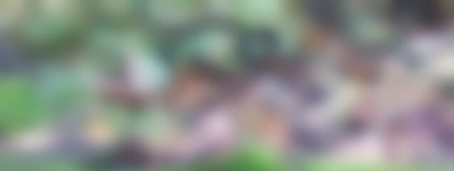 Abstract Blurred colorful background creating smooth transitions and soft focus effect for...