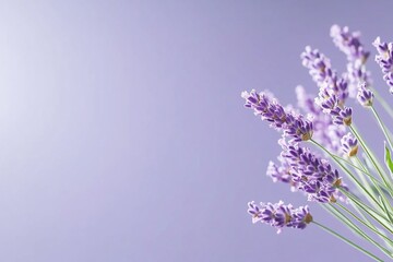 Obraz premium Lavender bouquet, purple background, serenity, spa, wellness.