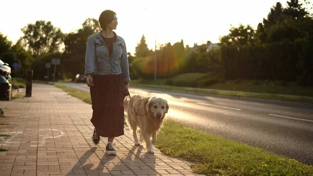 Girl Owner Walks Adorable Golden Retriever Dog On The Sidewalk Path At Sunset