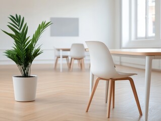 interior design of room with plant, table and chairs
