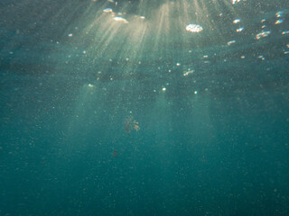 bubbles, bubble, water, underwater, sea, air, deep, undersea, under, background, wave, liquid,...