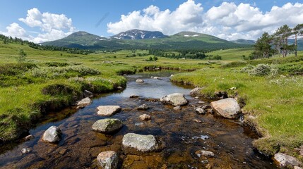 Mountain stream flows through grassy valley, scenic landscape