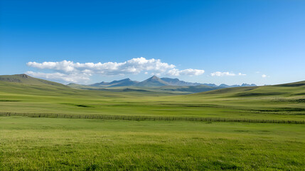 Fototapeta premium Expansive Green Field with Distant Mountains under a Blue Sky
