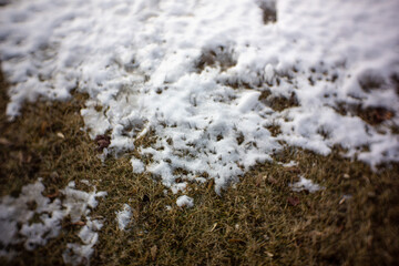 Snow melted away to expose the grass