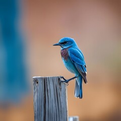 Fototapeta premium A Blue Bird with Blue Beak Resting on a Wooden Fence in a Cozy Rustic Setting