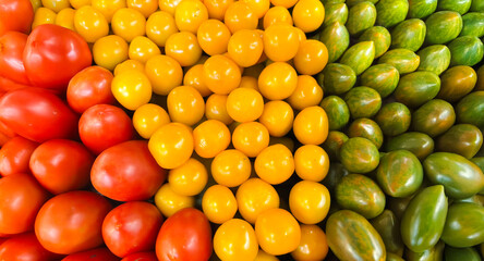 Colorful Variety of Fresh Red, Yellow, and Green Tomatoes