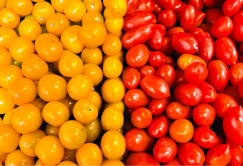 Fresh Yellow and Red Cherry Tomatoes Side by Side