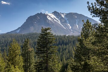 Fototapeta premium Snow-capped mountain peak rises above a dense forest. Majestic scenery. Lassen Volcanic National Park, California, USA