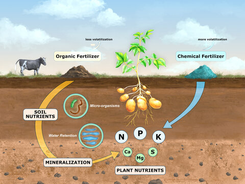 Soil fertilization methods