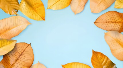 Fototapeta premium Orange and Yellow Leaves Frame on a Light Blue Background