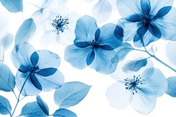 Obraz premium Soft blue floral background with delicate translucent flowers, evoking tranquility and natural beauty, perfect for wellness themes and calming designs