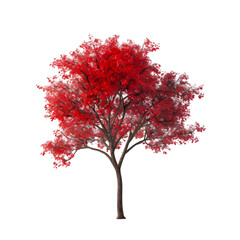 Vibrant Red Tree Autumn Leaves Nature Watercolor Art,