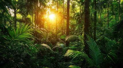 Lush rainforest at sunset, sunlight filtering through dense canopy.