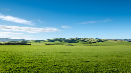 Obraz premium Bright Sunny Day in a Vast Green Field with Rolling Hills and Blue Sky
