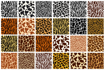 WebAnimal skin seamless pattern set. Mammals Fur. Collection of print skins. Cheetah, Giraffe, Tiger, Zebra, Leopard, Jaguar, cow. Printable Background. Vector illustration.