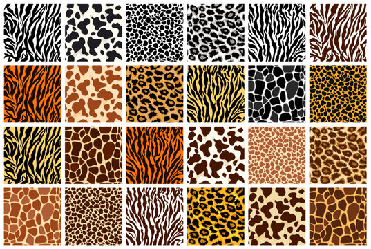 WebAnimal skin seamless pattern set. Mammals Fur. Collection of print skins. Cheetah, Giraffe, Tiger, Zebra, Leopard, Jaguar, cow. Printable Background. Vector illustration.
