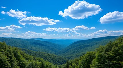 Obraz premium Vast Green Valley Landscape Under a Blue Sky with Fluffy White Clouds