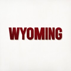 wyoming sign on white background