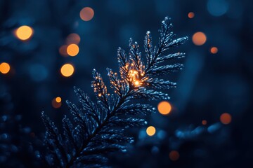 Fototapeta premium Winter Branch with Bokeh Lights