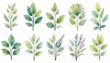 Plant background image, leaf natural texture banner