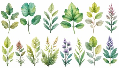 Fototapeta premium Plant background image, leaf natural texture banner